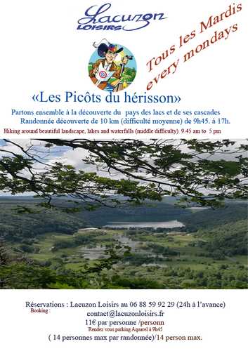 Les picôts du hérisson